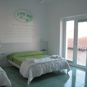 Praja vecchia Bed and Breakfast Praia a Mare Exterior photo