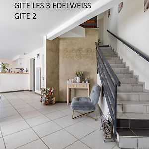 Les 3 Edelweiss - Gite 1 Ou Gite 2 Arette Exterior photo