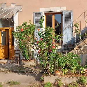 Sur Les Ailes Du Papillon Bed and Breakfast Saint-Sauveur-en-Puisaye Exterior photo