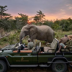 Royal Malewane Villa Riserva di Caccia Thornybush Exterior photo