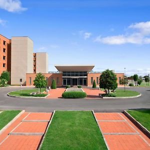 Hilton Garden Inn Rome Airport Fiumicino Exterior photo