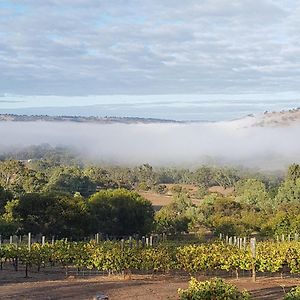 Pecan Hill Bnb Bed and Breakfast Toodyay Exterior photo