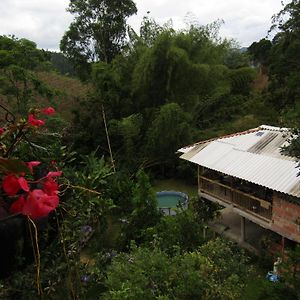 Alojamiento rural pájaros y flores Los Andes  Exterior photo