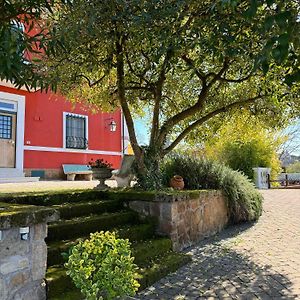 La Terrazza Su Roma Bed and Breakfast Zagarolo Exterior photo