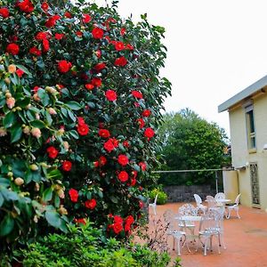 Lynnwood Villa, Netflix, Indoor Pool, The Best Melbourne Retreat Templestowe Lower Exterior photo