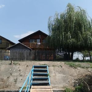 Vila Green Frog Villa Mila Douăzeci şi Trei Exterior photo