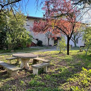 B&B Cascina Campagnola Pozzolengo Exterior photo