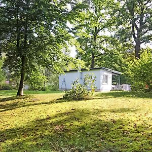 Ferienhaus Boitzenburger Land Villa Rosenow  Exterior photo