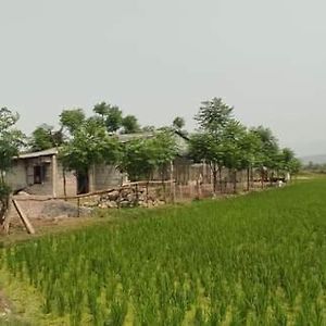 Gadyauli Village Debichaur Exterior photo