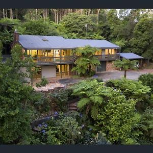 Forest Hideaway - Puffing Billy Railway Villa Melbourne Exterior photo