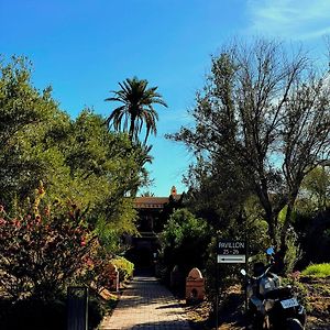 Appartamento Havre De Paix Au Coeur De La Palmeraie Marrakesh Exterior photo