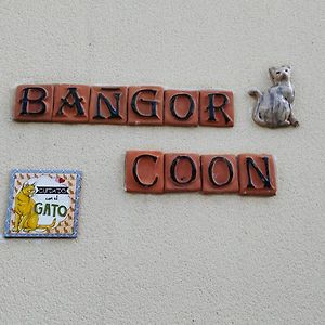 Appartamento Le Bangor Coon Forges  Exterior photo