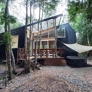 En Bosque, Con Rio, Sin Vecinos Y Wifi Starlink Villa Puelo River Exterior photo