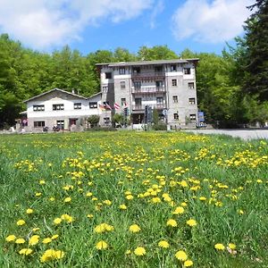 Albergo Le Macinaie - Monte Amiata Castel del Piano  Exterior photo