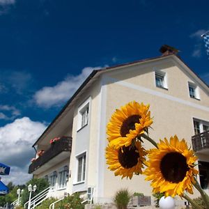 Hotel Landgasthof Am Sonnenhang Vohenstrauss Exterior photo