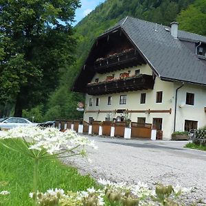 Hotel Gasthof Steinbraeu Faistenau Exterior photo