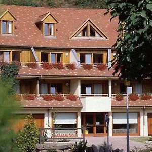 Hotel Les Remparts Kaysersberg-Vignoble Exterior photo