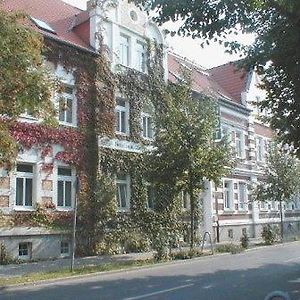 Hotel Zum Goldenen Loewen Merseburg Exterior photo