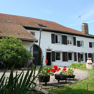 Chambre D'Hotes Kieffer Le Grand Bienfaisy Bed and Breakfast Remiremont Exterior photo