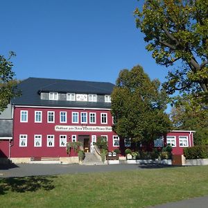 Hotel Zum Roten Hirsch Im Gruenen Wald Saalfeld Saale Exterior photo