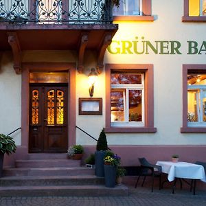 Hotel & Restaurant Gruener Baum Merzhausen Friburgo in Brisgovia Exterior photo