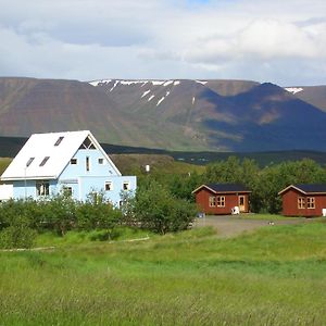 Guesthouse Pétursborg Akureyri Exterior photo