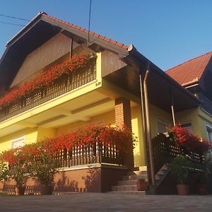 Hotel Zsuzsi Vendégház Zalaegerszeg Exterior photo