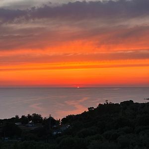 Dimora degli Ulivi Bed and Breakfast Caprioli Exterior photo