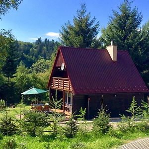 Chatka Pod Swierkami Villa Baligród Exterior photo