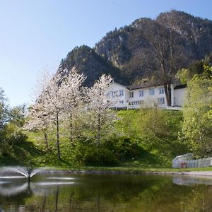 Hotel Nutheim Gjestgiveri Flatdal Exterior photo