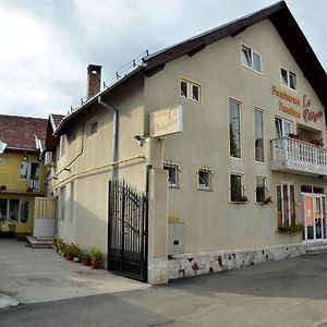 Hotel Pensiunea La Palaguta Baia Mare Exterior photo