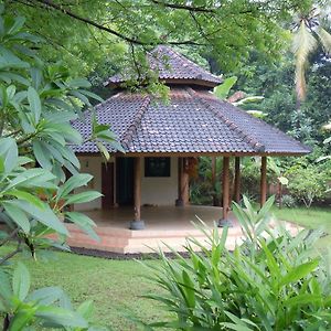 Hotel Sananda Bungalow Lovina Exterior photo