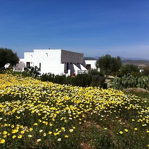 Cortijo el Campillo Affittacamere Los Albaricoques Exterior photo