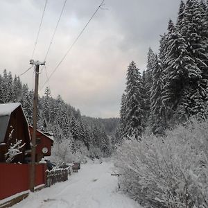 Hotel Садиба Бункер Чан Mizhhirya  Exterior photo