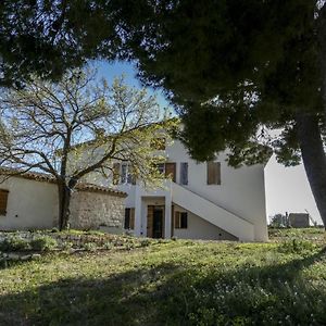 Massignano 116 Bed and Breakfast Sirolo Exterior photo