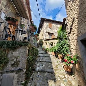 La Casetta Sul Collettino Fabbriche di Vallico Exterior photo