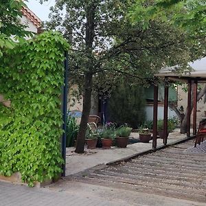 Viento De Ladera Piscina Natural Y Jacuzzi Ext Affittacamere Segovia Exterior photo