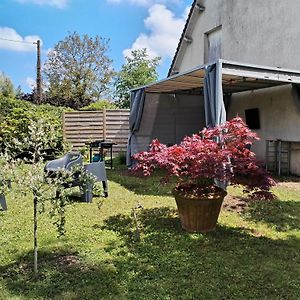 Appartamento Sur La Route De Chambord Muides-sur-Loire Exterior photo