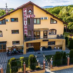 Hotel Pensiunea Teo Caransebeş Exterior photo