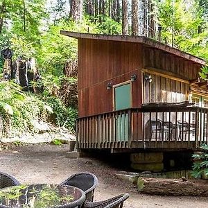 Lofted Studio Cabin In The Redwoods! Affittacamere Notleys Landing Exterior photo