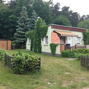 Holiday Home On The Edge Of The Forest Plau am See Exterior photo
