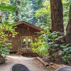 Magical Cabin Retreat In The Redwoods!! Villa Notleys Landing Exterior photo