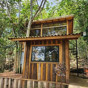 Hotel Zen Oasis Del Bosque Casa Arbol Calima Exterior photo