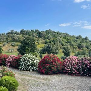 Tenuta Montemassi Podere Montauzzo Villa Exterior photo