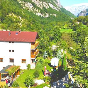 Vila Alexander B&B Valbona Exterior photo