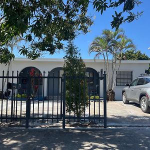 Appartamento Coral Gable Studio & House Free Parking & Wifi Miami Exterior photo