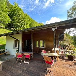 Appartamento Zimmer Mit Zwei Einzelbetten Im Chalet Milital Innertkirchen Exterior photo