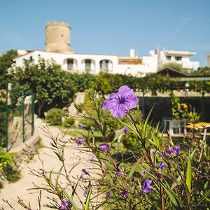 Victoria Park Resort Ischia Exterior photo