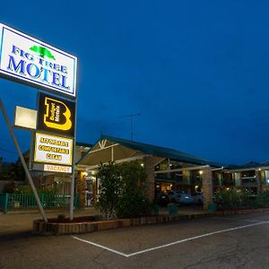 Fig Tree Motel Narrandera Exterior photo