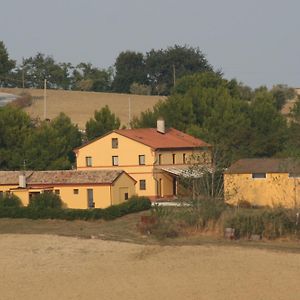 Il Campetto Country House Bed and Breakfast Senigallia Exterior photo